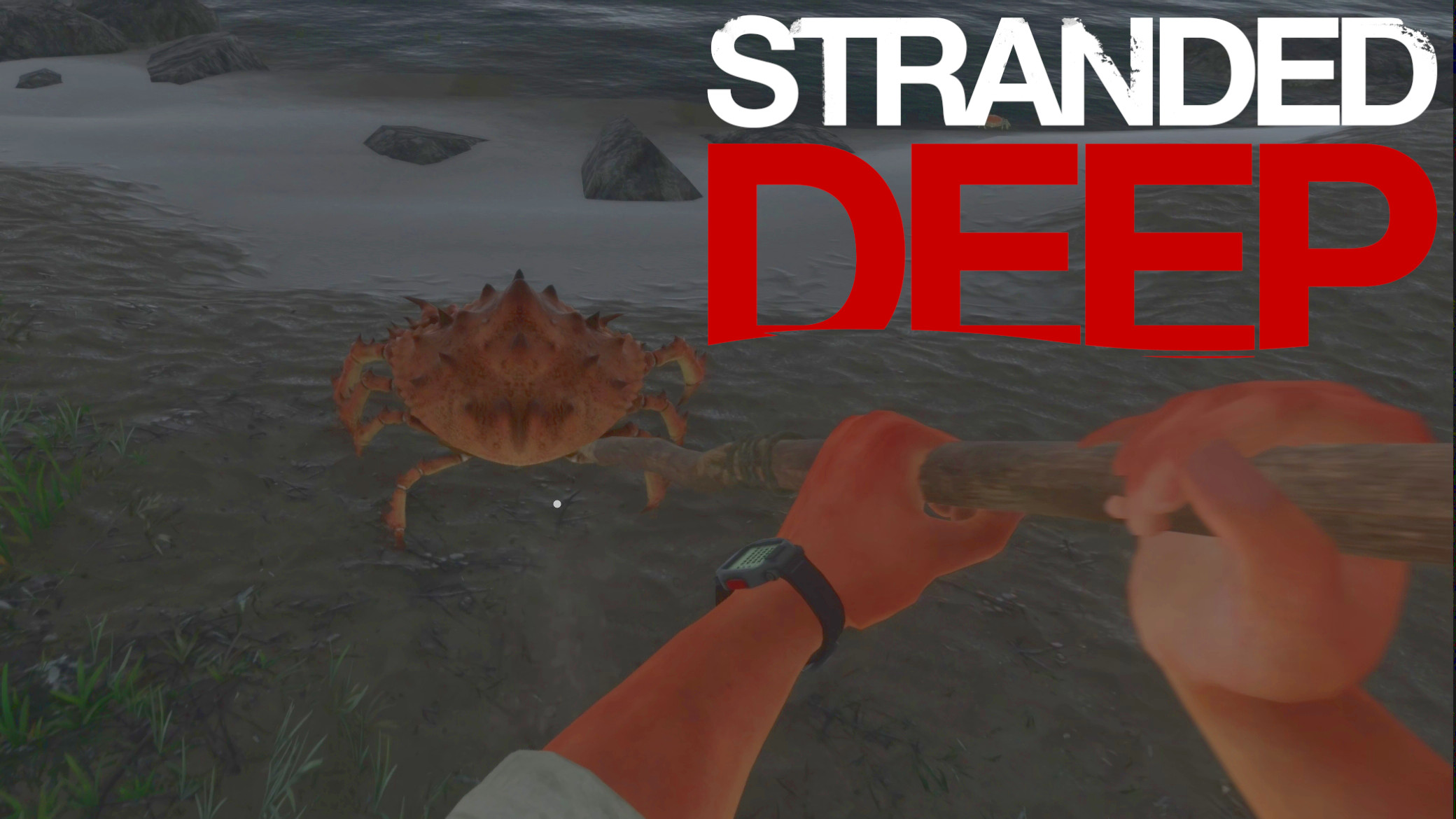 можно ли играть в stranded deep по сети с другом в epic games и стим фото 97