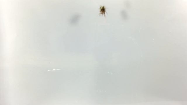 Набор мушек от mushki96 из России. Сухие мушки. Часть 2. смотреть онлайн