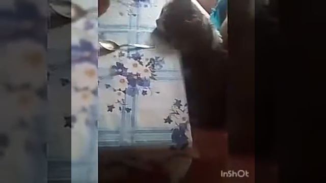 Где моя большая ложка?! смотреть онлайн