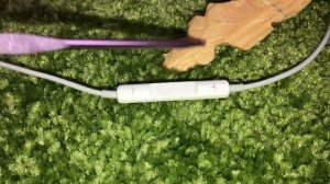 ASMR WITH MICROPHONE IPHONE licking