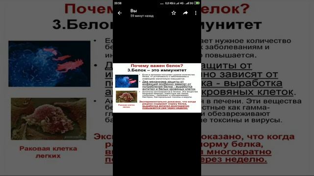 13 октября 2020 г. смотреть онлайн