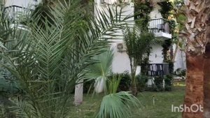 Обзор отеля Otium Park Club Akman..