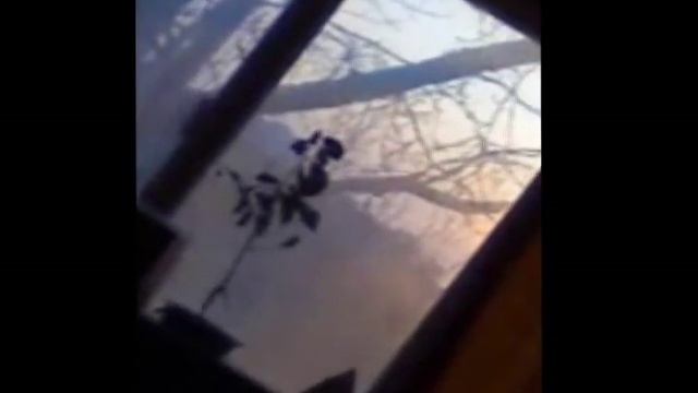 пдзмк смотреть онлайн