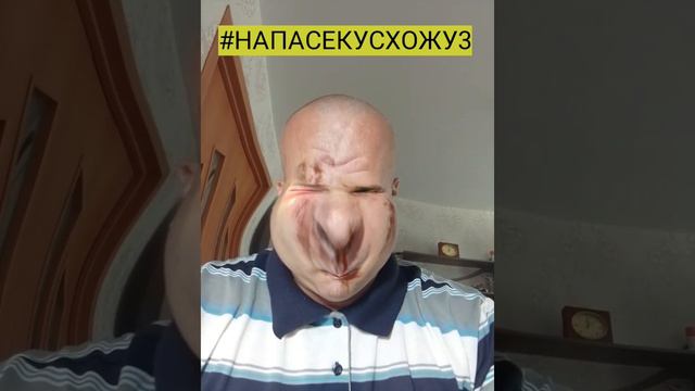 #НАПАСЕКУСХОЖУ3