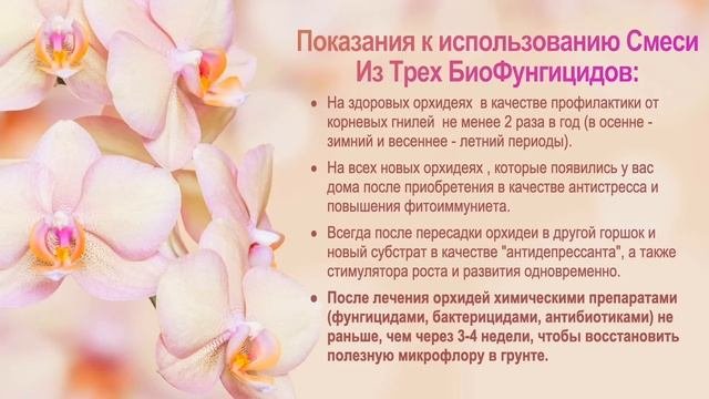 # 164 Чтобы орхидеи были здоровыми и пышно цвели … #ОрхидейнаяАптека