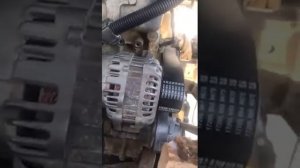 Установка ремня на IVECO