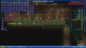 Как копировать любые вещи в Terraria!