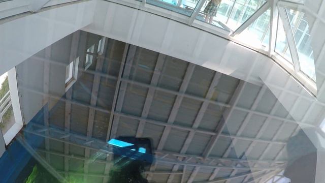 Сафари Парк Геленджик 21.05.2021 пришли в гости к животным) смотреть онлайн