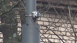 Столб, Розетка, Фонарь.