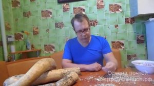 Семена лагенари