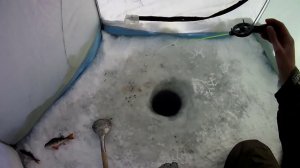 Как ловить окуня на чертика