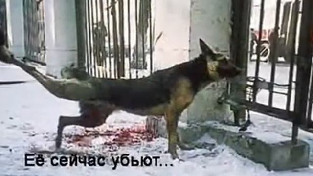 это ужасно как можно быть такими!!1 смотреть онлайн