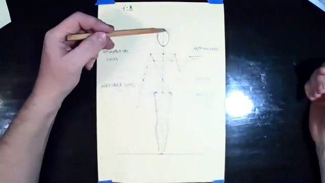 Пропорции человка 1