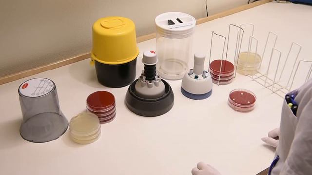 3 Application of disks and incubation EUCAST disk diffusion (Romanian) смотреть онлайн