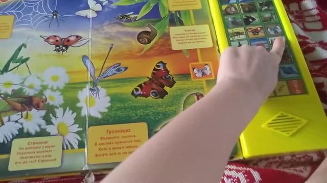 Говорящая книга мир вокруг нас смотреть онлайн