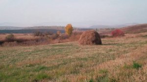 Оркестр Поля Мориа музыка Эннио Морриконе из к/ф Профессионал (осень 2014 у деревни Зимовьё)