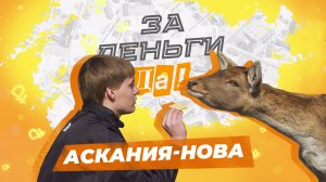 Работа в Херсонском заповеднике "Аскания-Нова". "За деньги да"