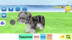 Кошка Симулятор #1 Кид стал котенком по имени Пурумчик в Cat Simulator на пурумчата