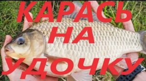 КАРАСЬ НА ПОПЛАВОЧНУЮ УДОЧКУ