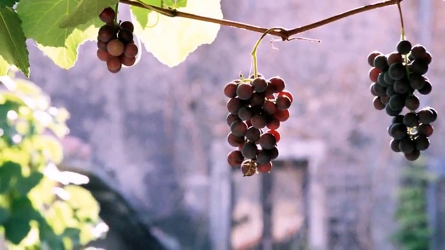 РОМАН смотреть онлайн