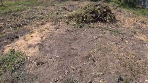 ПОПАЛИ НА ОТКРЫТИЕ ЧИЖИКА??? ПОСВЕЖЕЛО? УБОРКА В ОГОРОДЕ?WE LIVE IN THE KUBAN ?