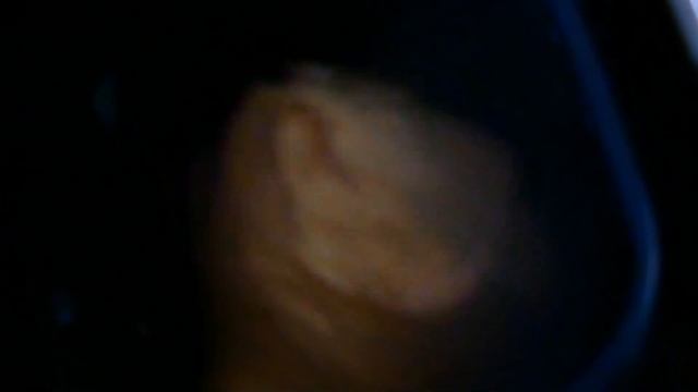 Homemade Bread Recipe for Beginners - Panasonic SD-2501 Breadmaker Review смотреть онлайн