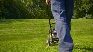 SWSTM4317 Southland Wheeled String Trimmer Mower