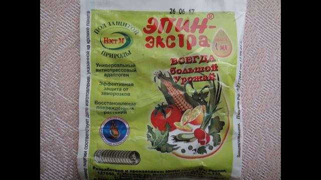 ОБРИЕТА--МНОГОЛЕТНИК//агротехника выращивания.