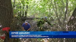 Опубликованы кадры уничтожения самой крупной партии боеприпасов времён Великой Отечественной войны