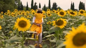 Фотосессия с подсолнухами в Грузии | Sunflowers Tbilisi | Фотограф в Грузии.