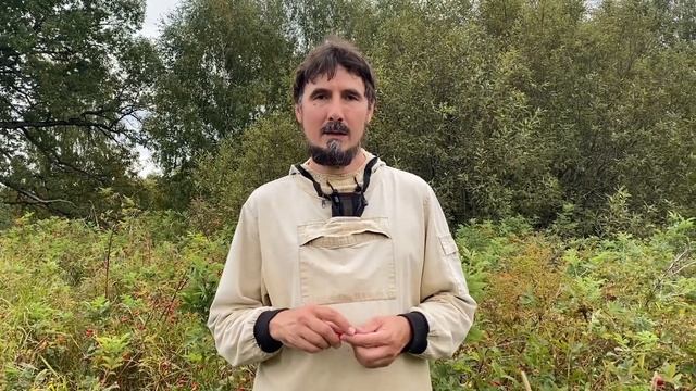 Плоды шиповника – лучшая природная коллекция витаминов и микроэлементов!