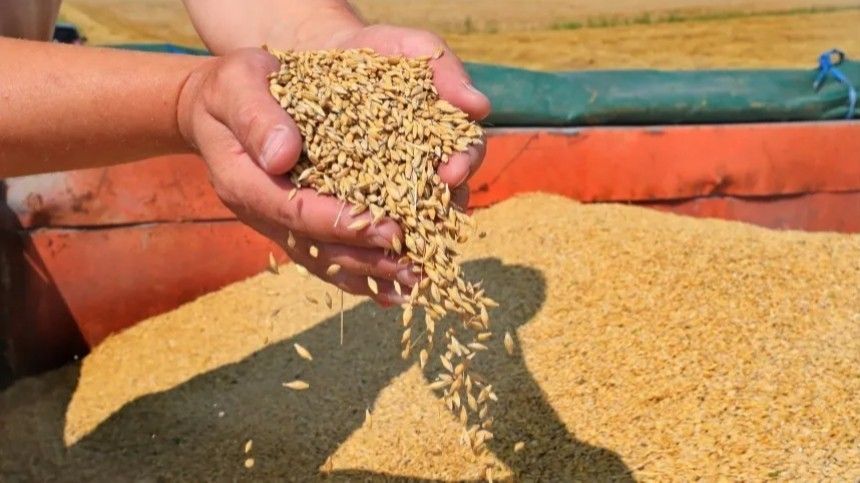 Почему Россия согласилась на продление зерновой сделки