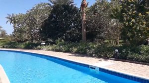 The Movie Gate Hurghada 4* Хургада. Египет.