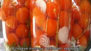 Помидоры Колхозница