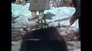 Залив Куэгда, место съёмок фильма пеги пес, бегущий краем моря