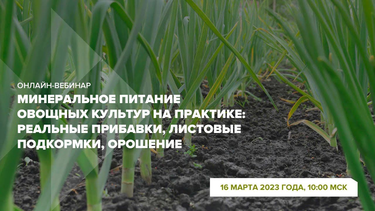 Онлайн-вебинар "Минеральное питание овощных культур: прибавки, листовые подкормки, орошение"