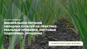 Онлайн-вебинар "Минеральное питание овощных культур: прибавки, листовые подкормки, орошение"