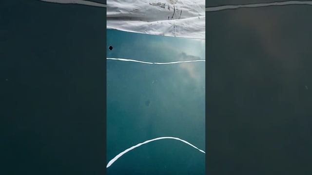 Как убрать облезающий лак с капота машины смотреть онлайн