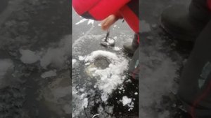 Озеро Куприно