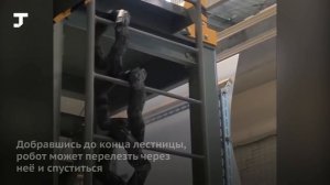 В Японии создали робота-змею, который умеет забираться по лестницам