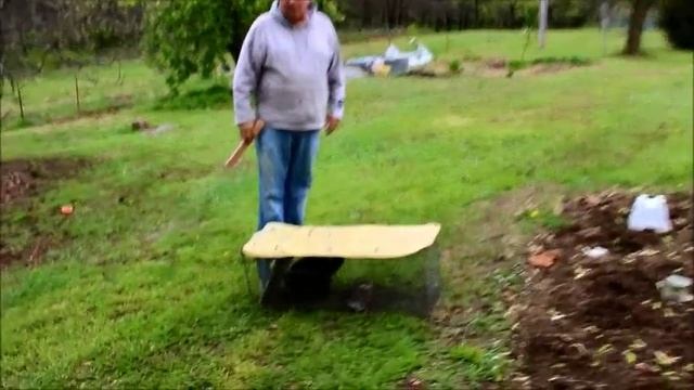 Скунс попался! Радости деревенской жизни в Америке. LifeinUSA. США. смотреть онлайн