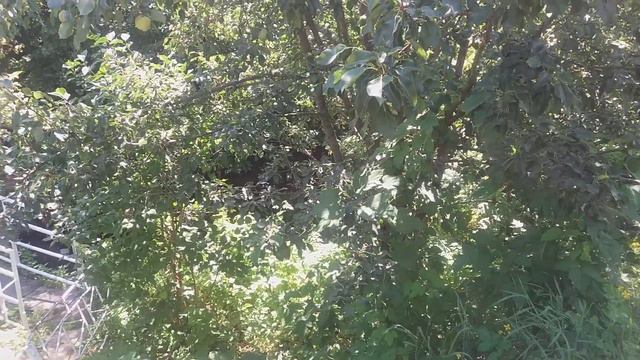 Путешествие на ДАЧУ МЕЧТЫ часть 1 смотреть онлайн