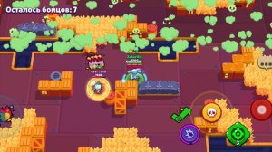 КАТКА НА ШЕЛЛИ В 800+ КУБКОВ