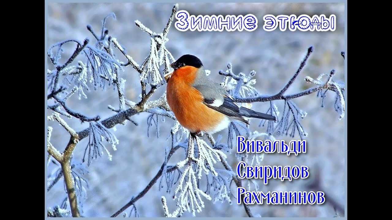 Зимние этюды.mp4 смотреть онлайн