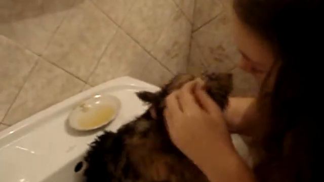 Уход за шерстью:Часть 2 смотреть онлайн