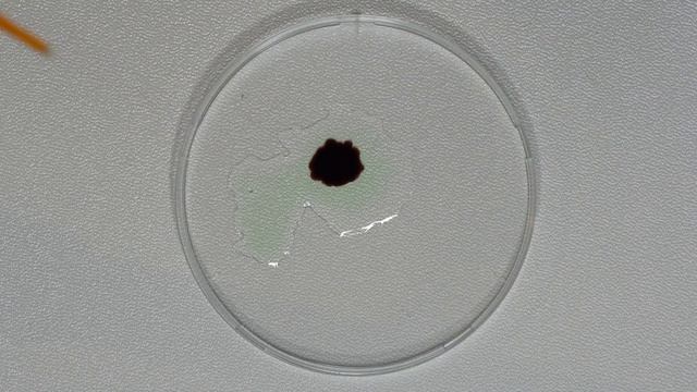 Странные химические реакции смотреть онлайн