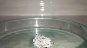 Амальгама РТУТИ и АЛЮМИНИЯ. Опыты по химии. Эксперименты со ртутью в домашних условиях.