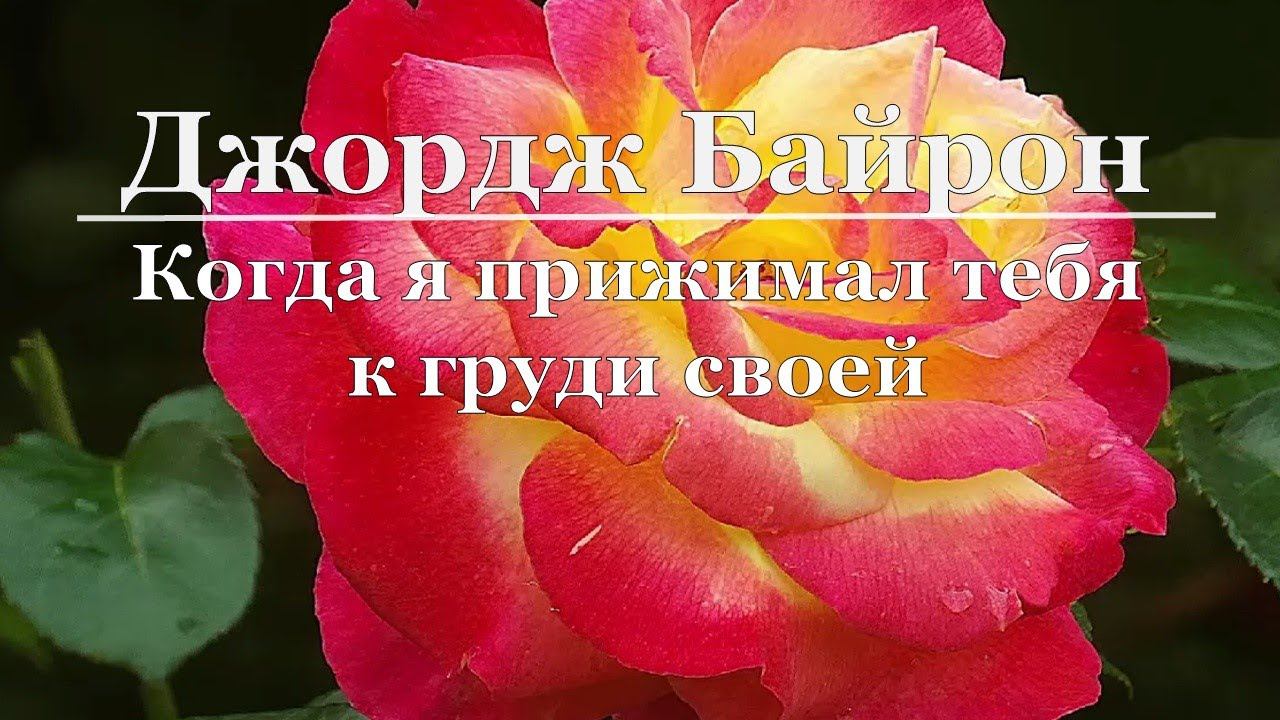 Джордж Байрон - Когда я прижимал тебя к груди своей смотреть онлайн