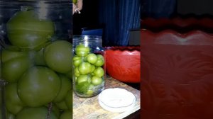 Маринование алычи. Легко и быстро!