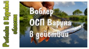 Воблер ОСП Варуна в действии